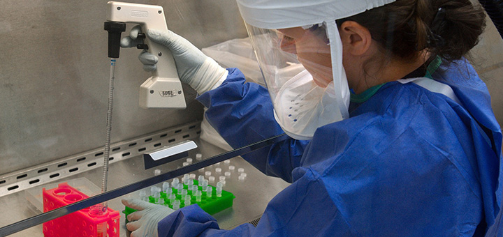 Medical Healthcare & Pharmaceutical